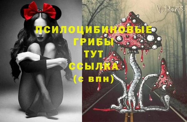 мет Алексин