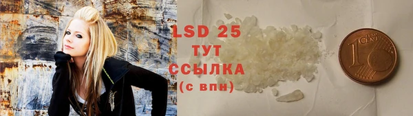 мет Алексин