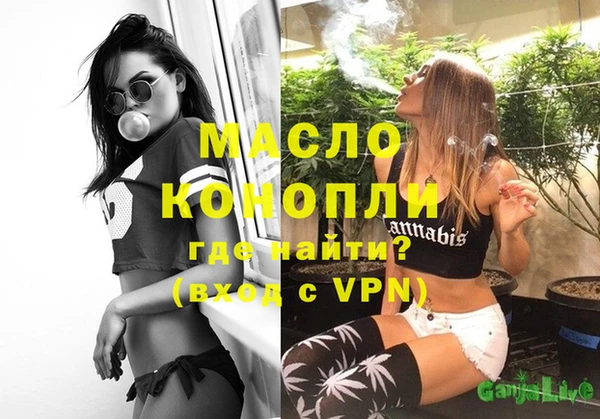 мет Алексин